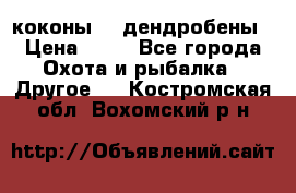 коконы    дендробены › Цена ­ 25 - Все города Охота и рыбалка » Другое   . Костромская обл.,Вохомский р-н